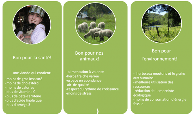 Museau De Pâturage Greenguard Taille Poney, Noir, Anti-laminite, Contrôle Poids Cheval